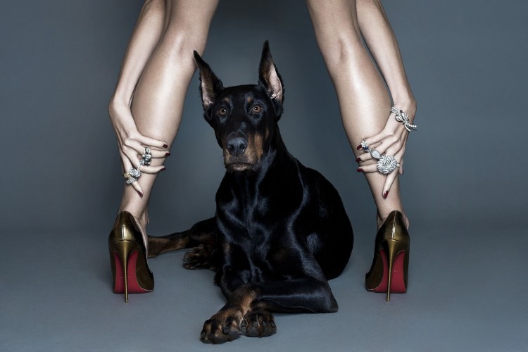 Mario Testino Доберман