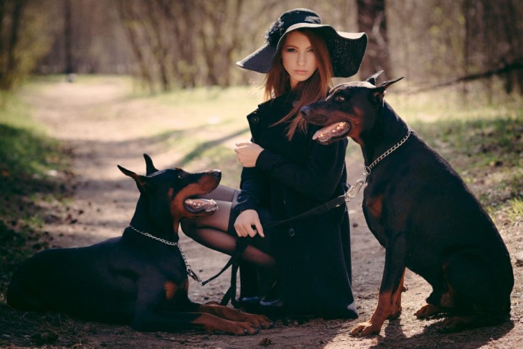 Осенняя фотосессия с доберманом