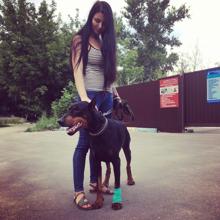 Ксения Чванова Доберманы