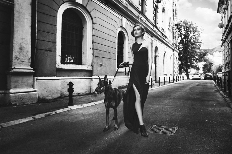 Модель с доберманом