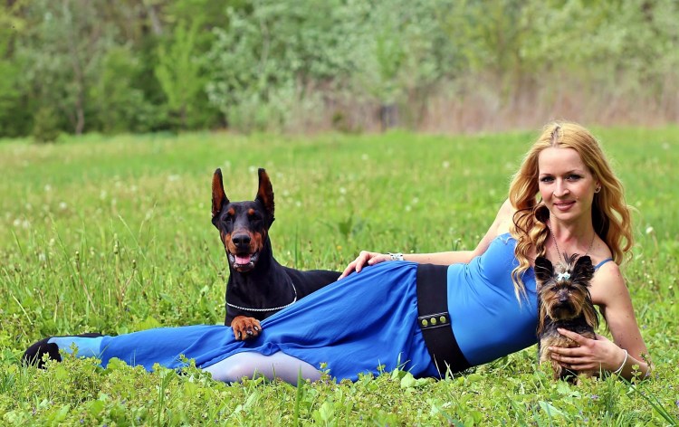 Собака Доберман девочка