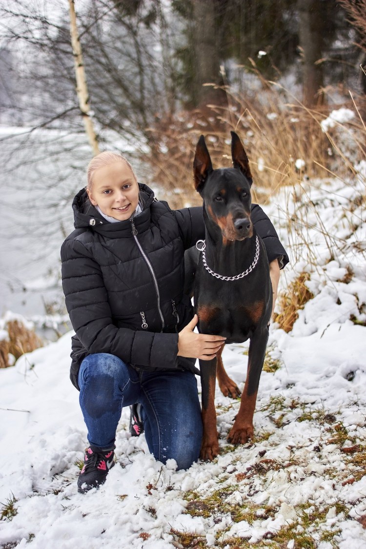 Оксана Чернова Доберманы