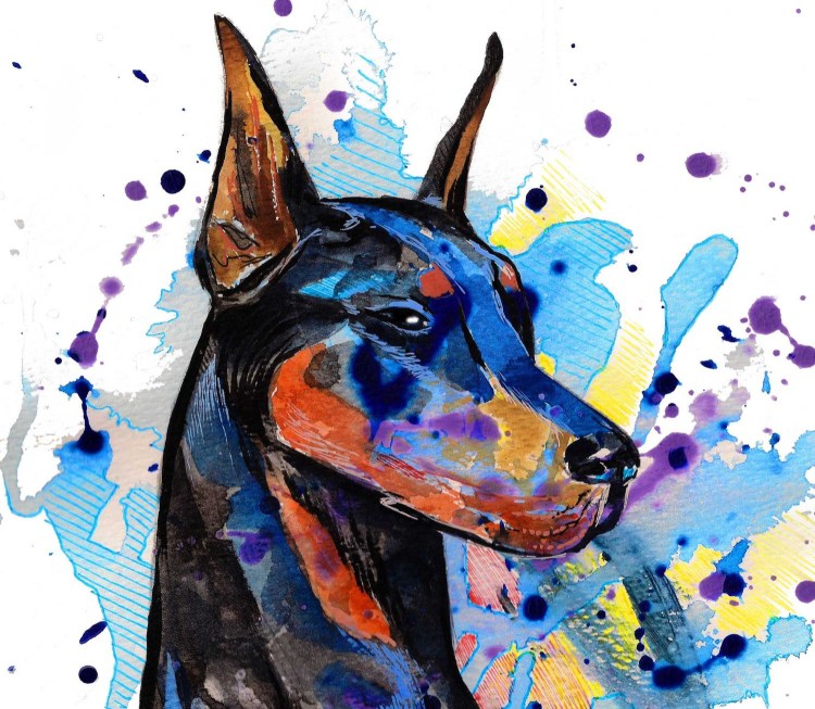 Доберман пинчер раскраска