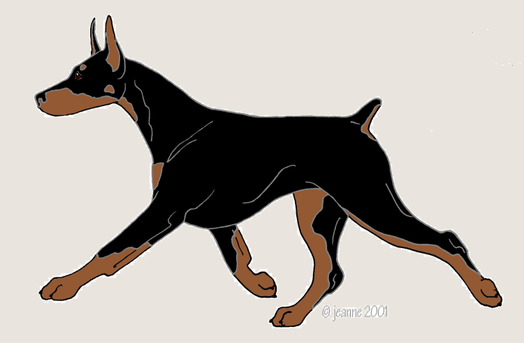 Эскизы татуировок Доберман