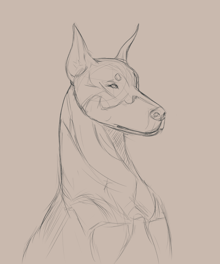 Лайнарт Доберман