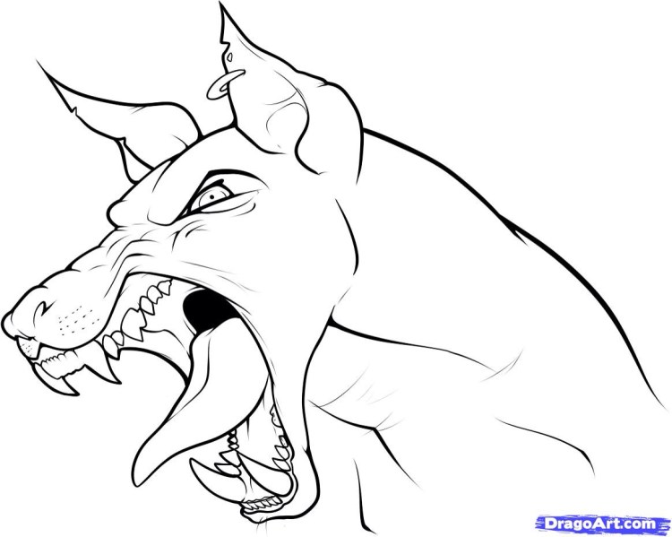 Доберман рисунок