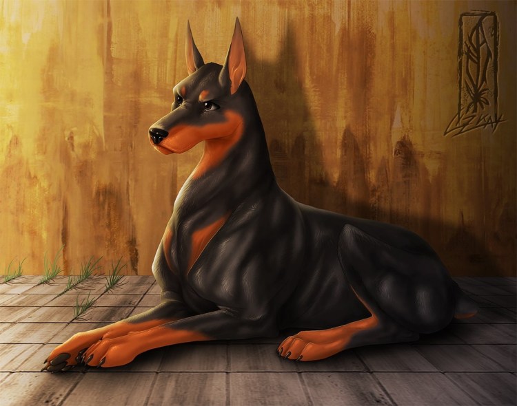 Ротвейлер пинчер