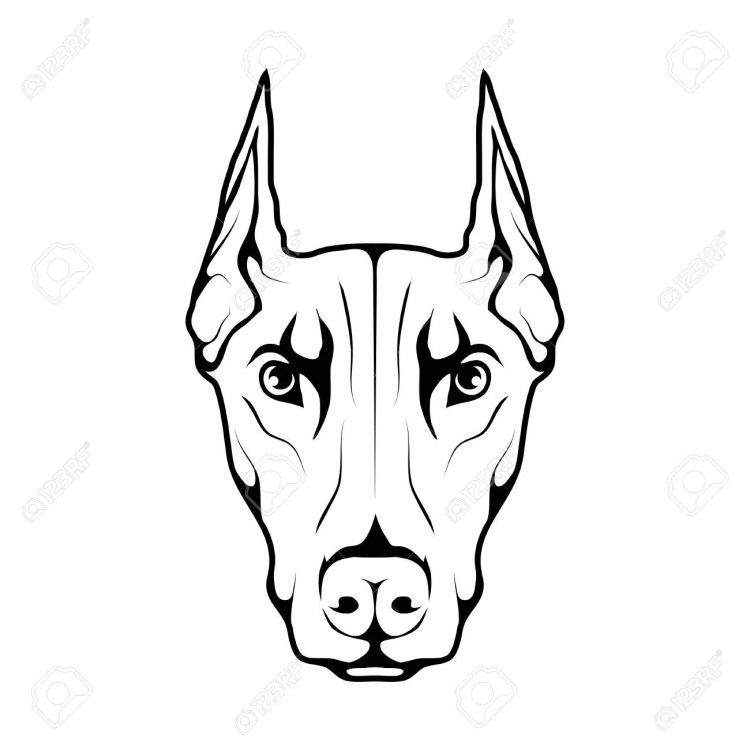 Ротвейлер эскиз