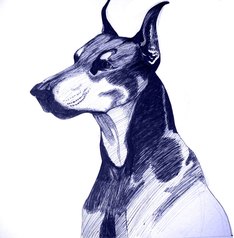 Доберман фурсона