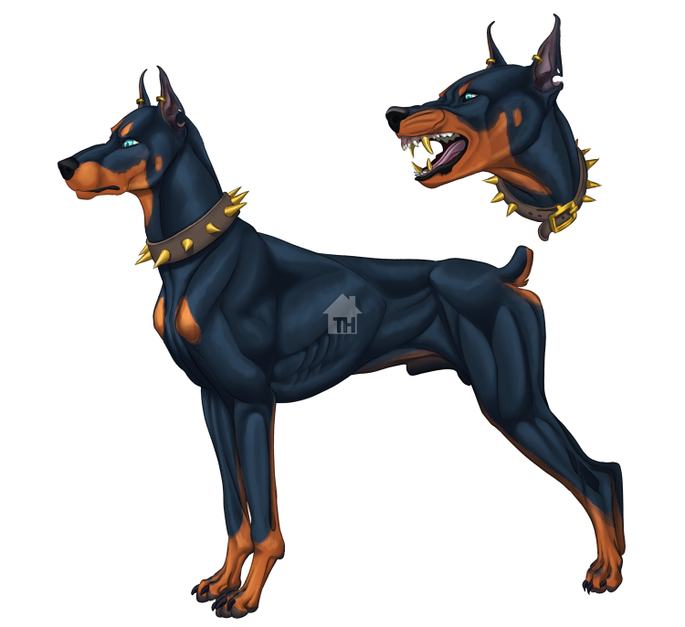 Доберман пинчер акварелью