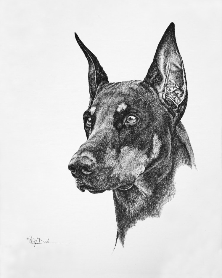 Доберман арт
