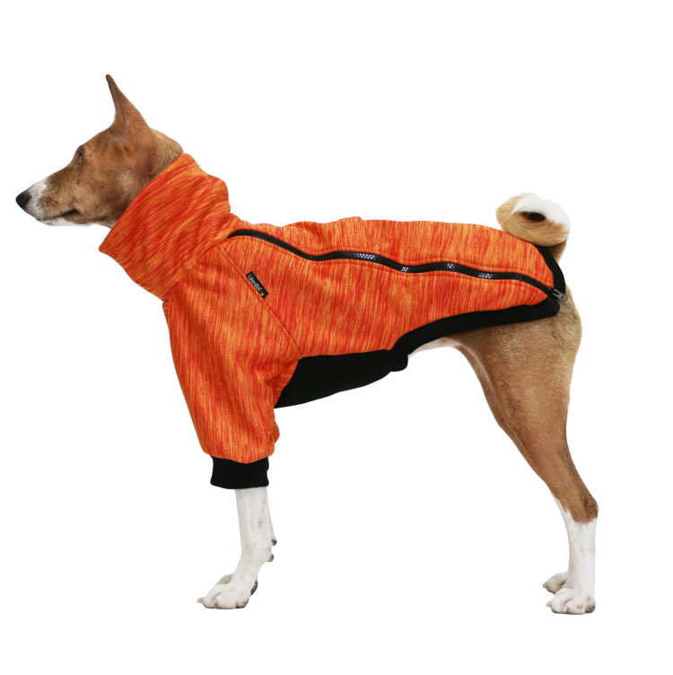 Лайк Фокс одежда для басенджи