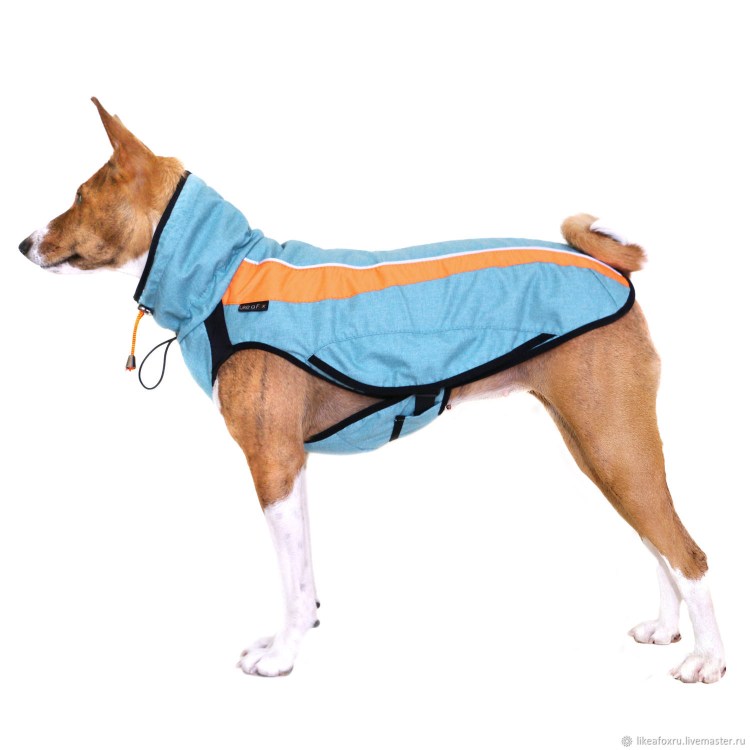 Like a Fox одежда для басенджи