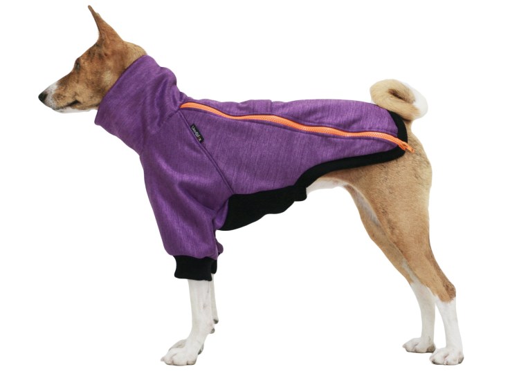 Лайк Фокс одежда для басенджи