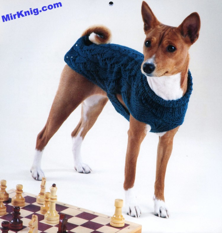 Лайк Фокс одежда для басенджи