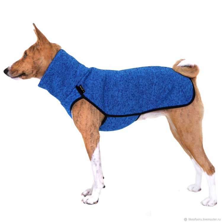 Комбинезон для басенджи