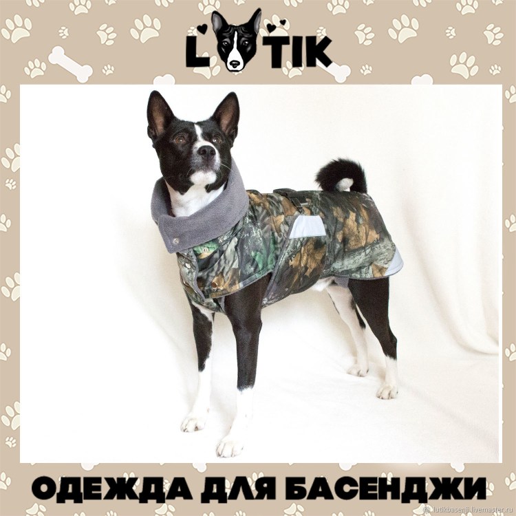 Выкройки одежды для басенджи