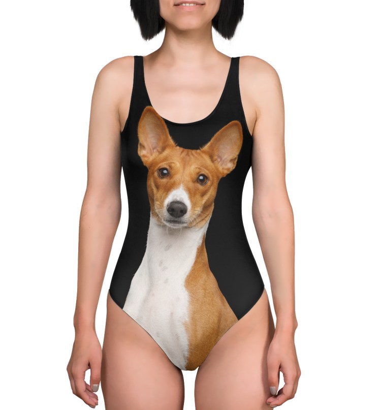 Басенджи в африканском костюме