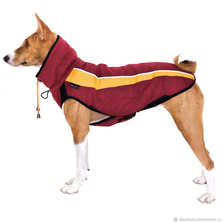 Лайк Фокс одежда для басенджи