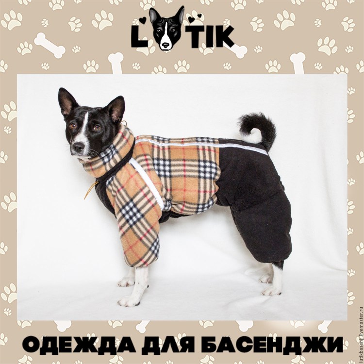 Попона для басенджи