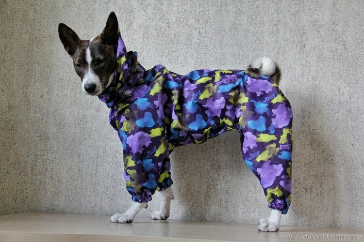 Тузик зимний комбез для басенджи