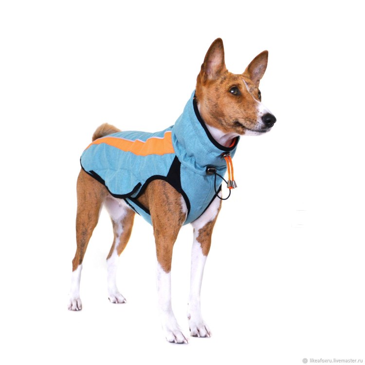 Свитер для басенджи