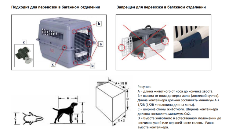 Авиаперевозка животных