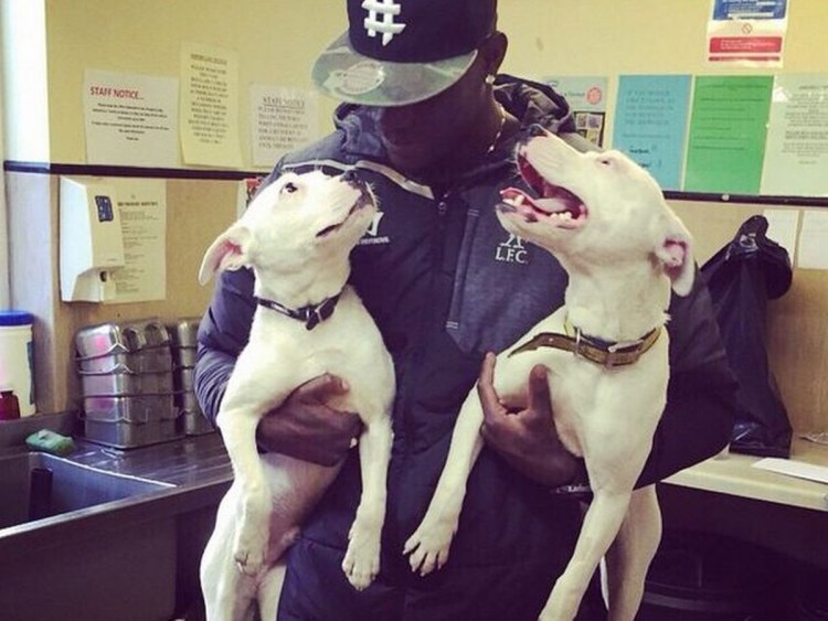 Офники с собаками