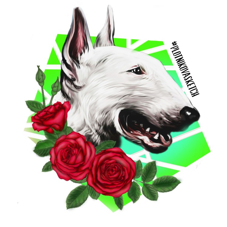 Бультерьер с розой