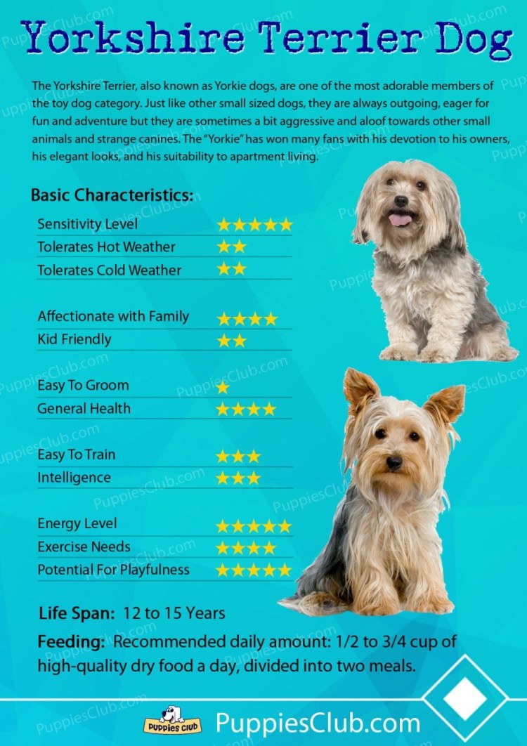 Средняя Продолжительность жизни собак