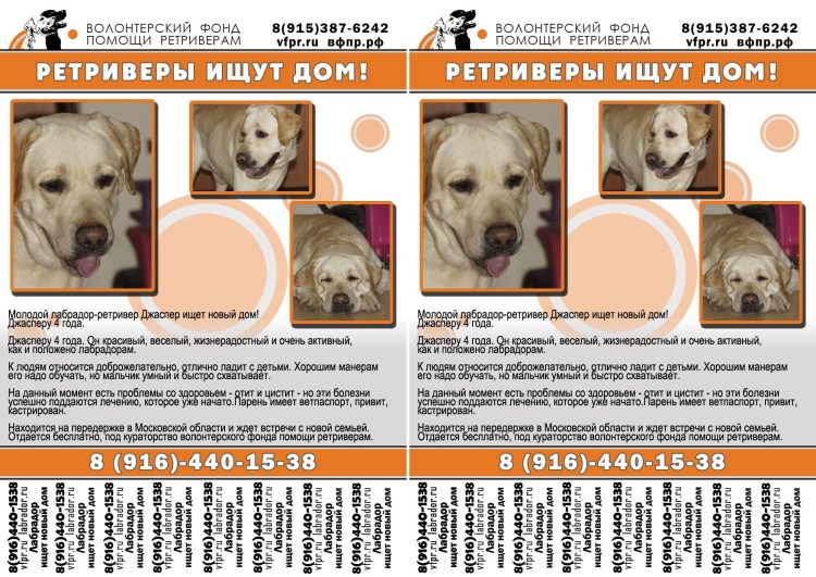 Год собаки фильм 2018 Украина