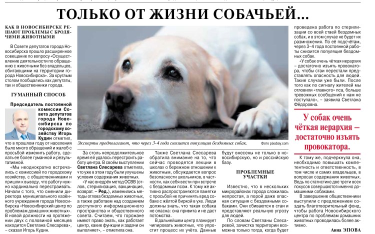 Таблица возраста собак мелких пород