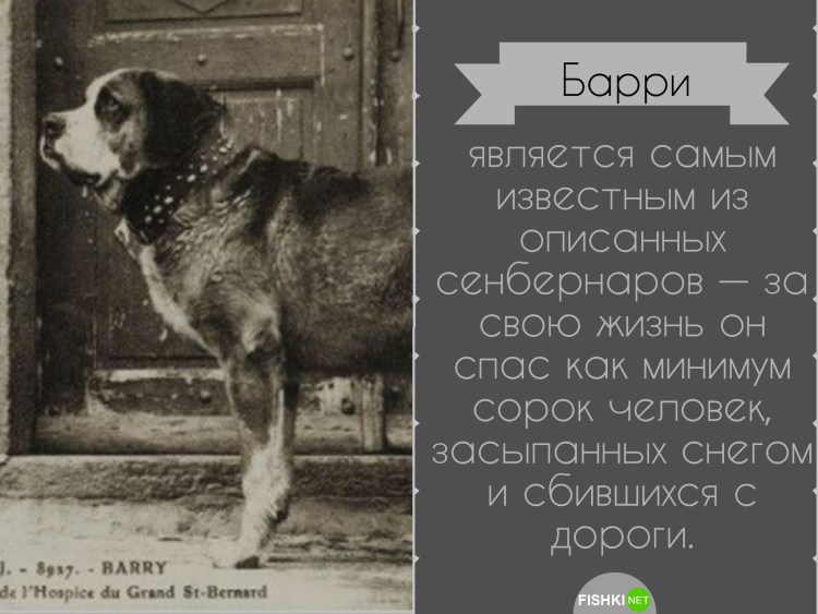 Стихи про Соукоку