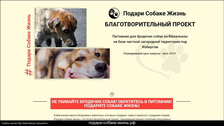 Курт Рассел собака