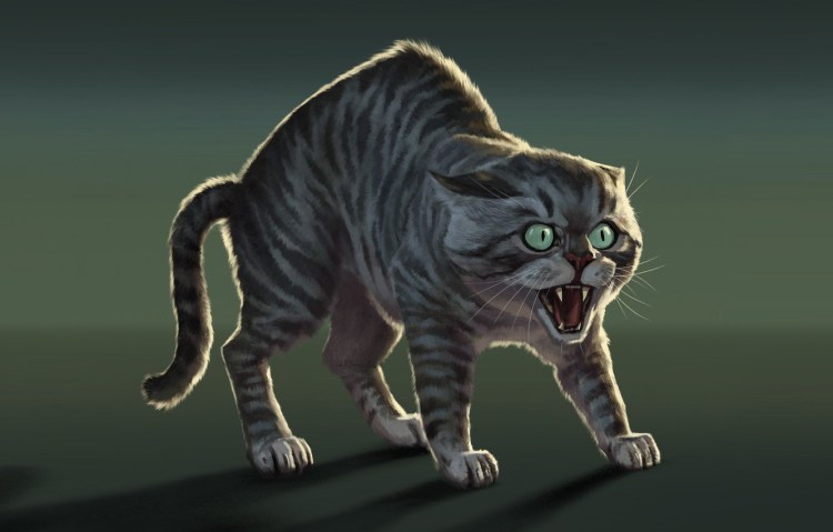 Злые британские коты