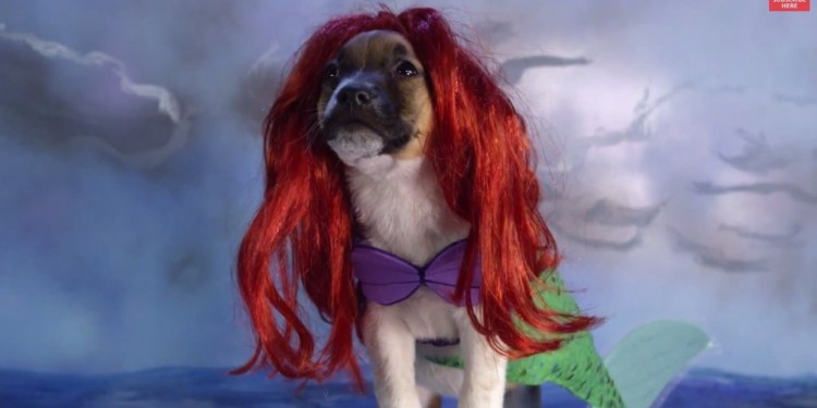 Ариэль Русалочка мультфильм