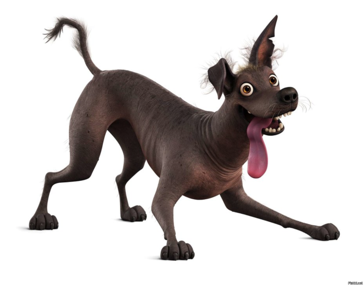 Вест хайленд терьер