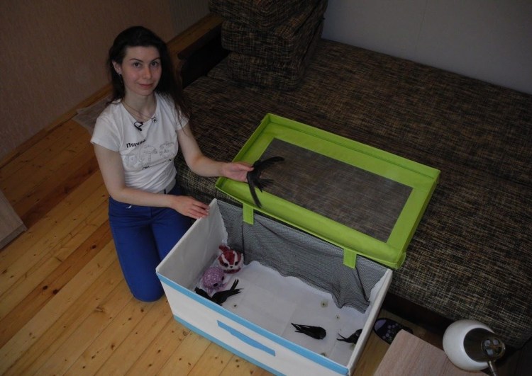 Домик для родов кошки