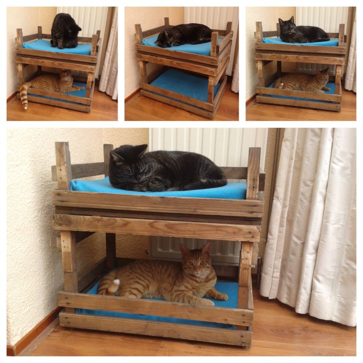 Родовой домик для кошки