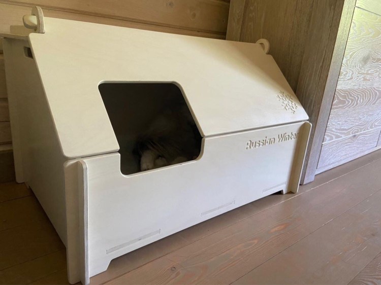 Манеж для котят