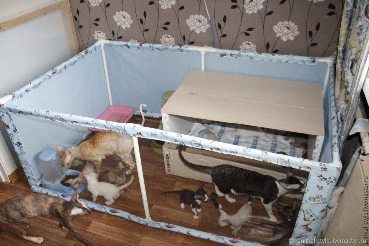 Домик родилка для кошек