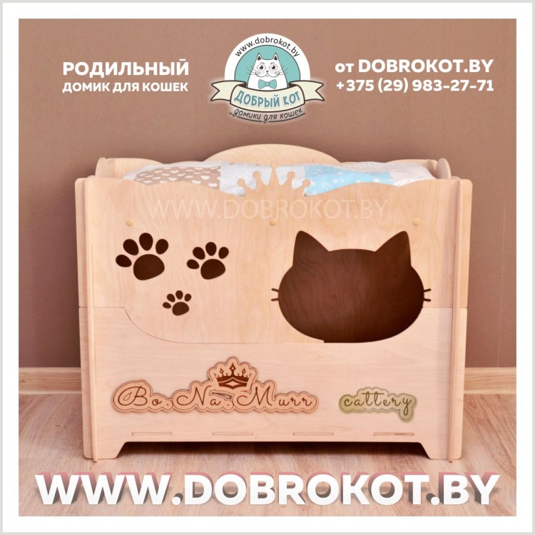 Контейнер для кошачьего туалета