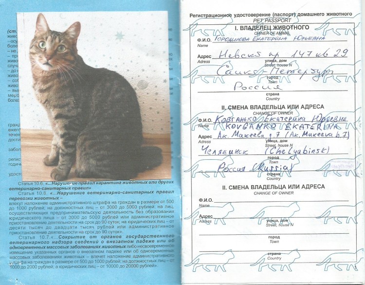 Международный ветеринарный паспорт для собак и кошек