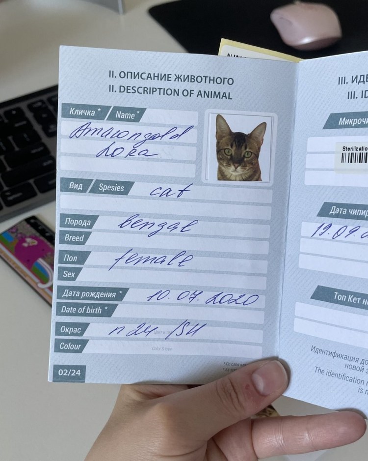 Кошачий паспорт