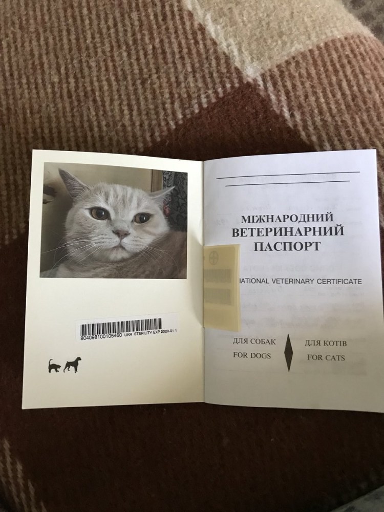 Стерилизация в вет паспорте