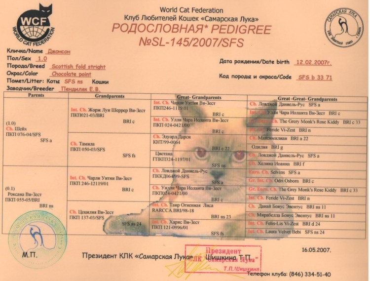 Ветеринарный паспорт АВЗ для собак