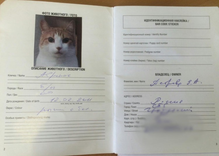 Ветпаспорт для кошки