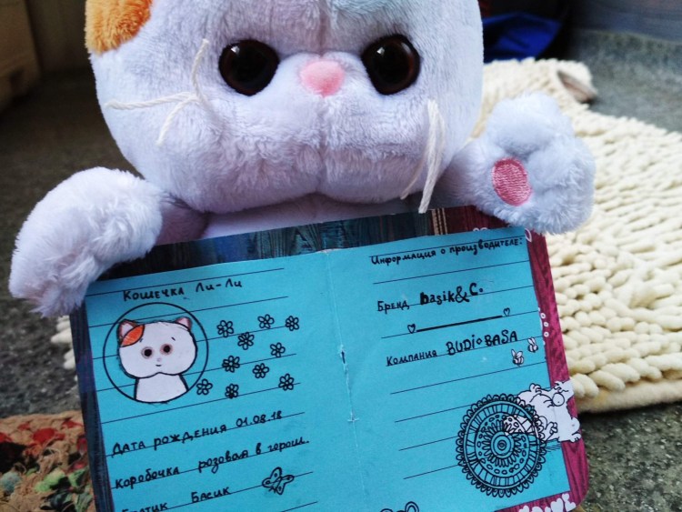 Смешные кот в паспорт