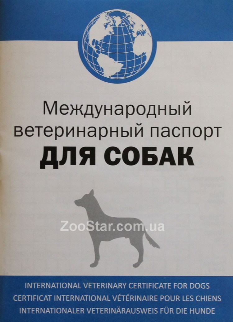 Ветеринарный паспорт для собаки