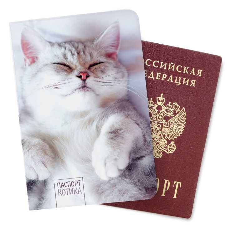 Паспорт для кошки